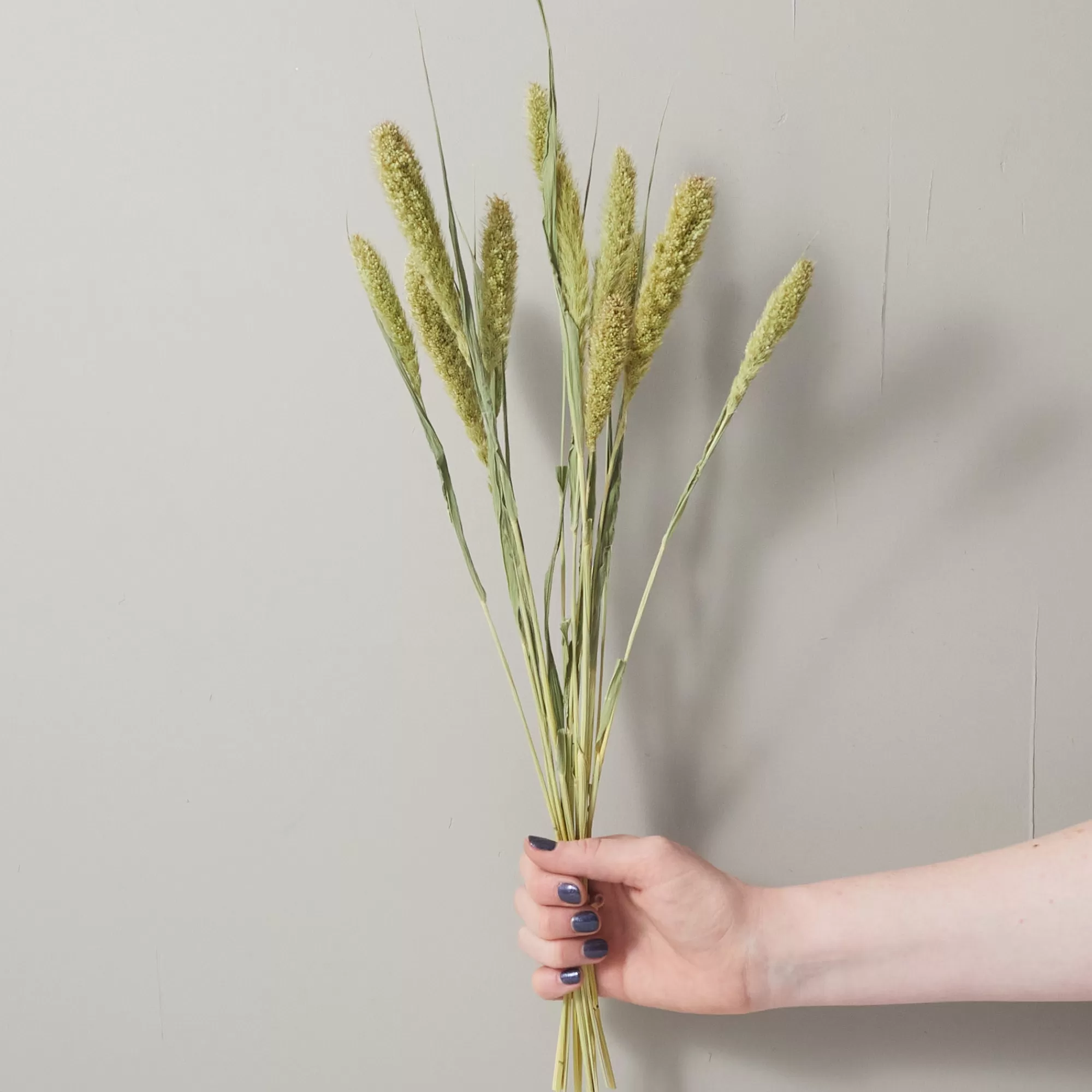 Discount Be Home Bunch of Green Foxtail