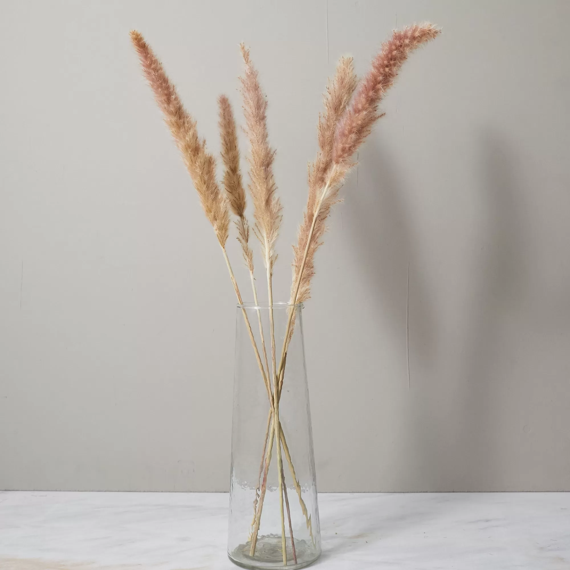 Online Be Home Bunch of Pampas Grass, Small, Brown