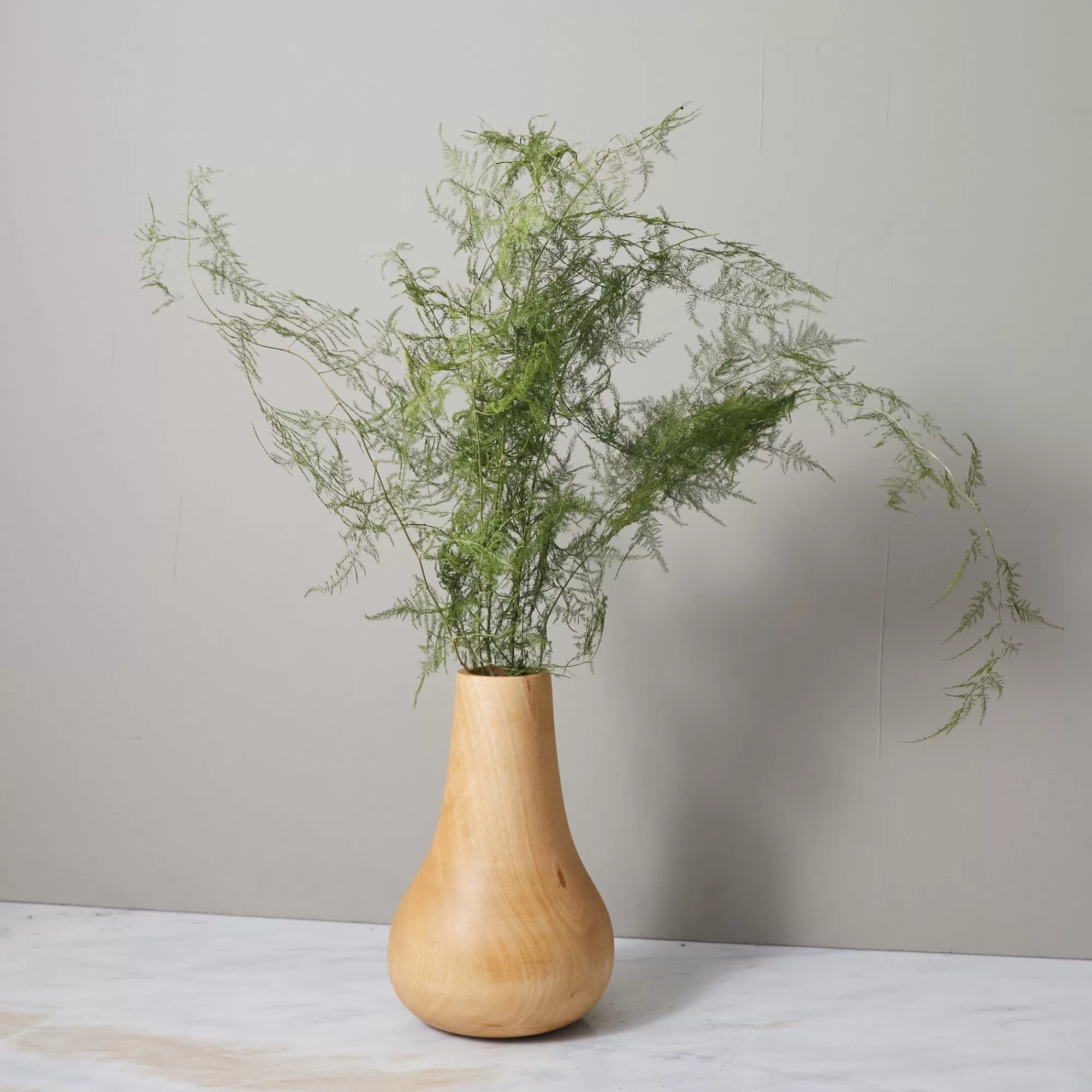 Flash Sale Be Home Bunch of Plumosa Fern