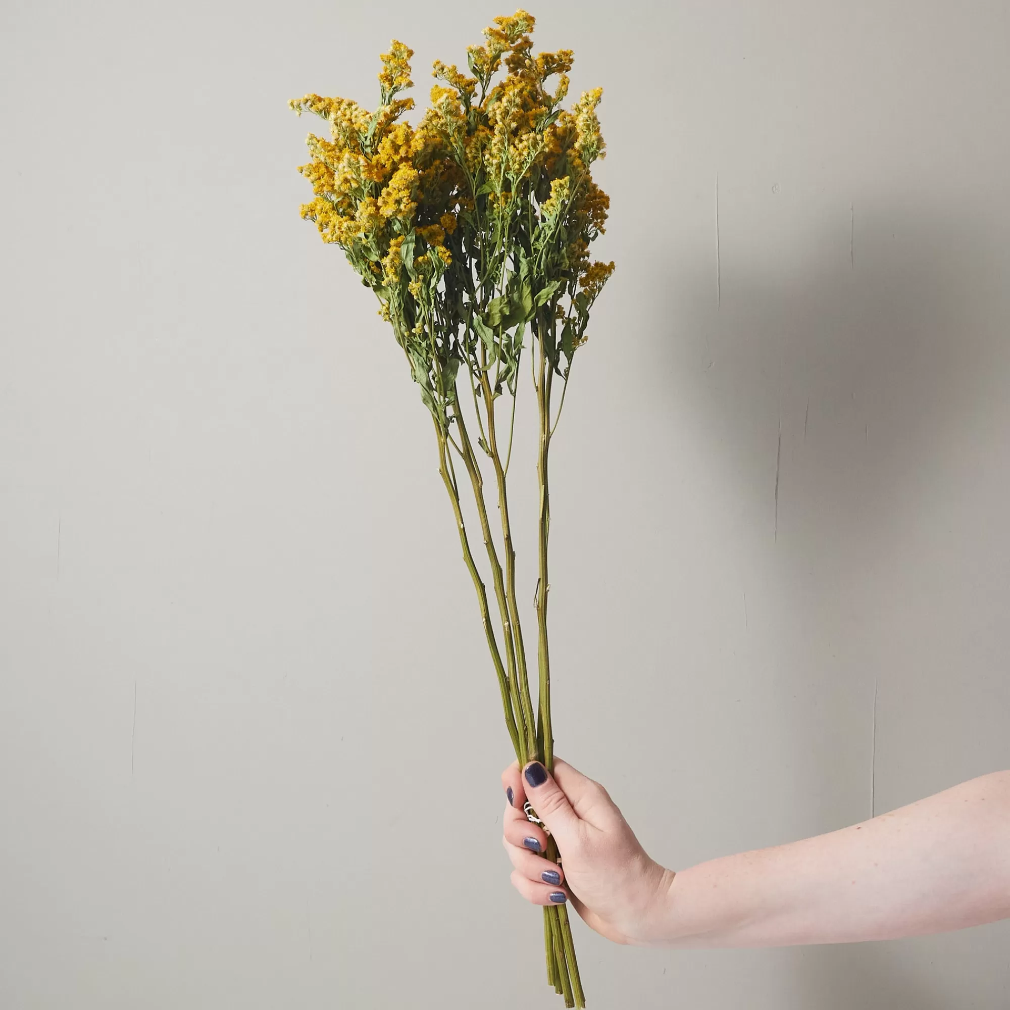 Outlet Be Home Bunch of Solidago