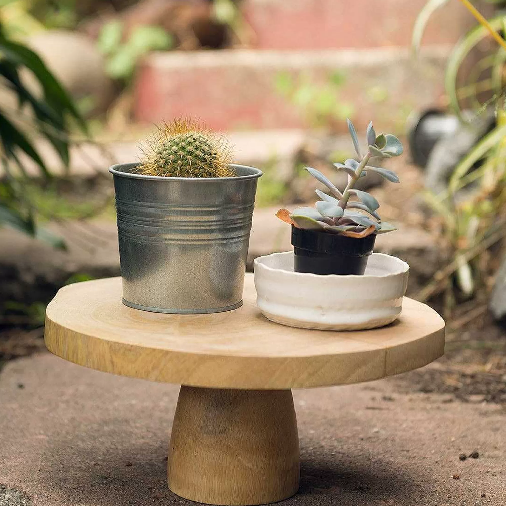 Be Home Cake Stands and Cloches<Kiln Mango Wood Cake Stand