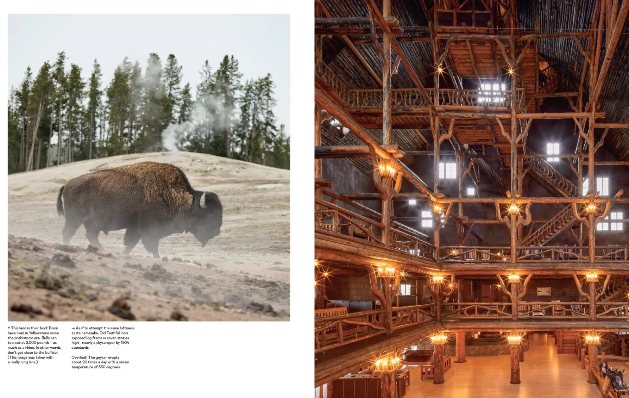 Hot Be Home Lodge: An Indoorsy Tour of America’s National Parks by Max Humphrey &