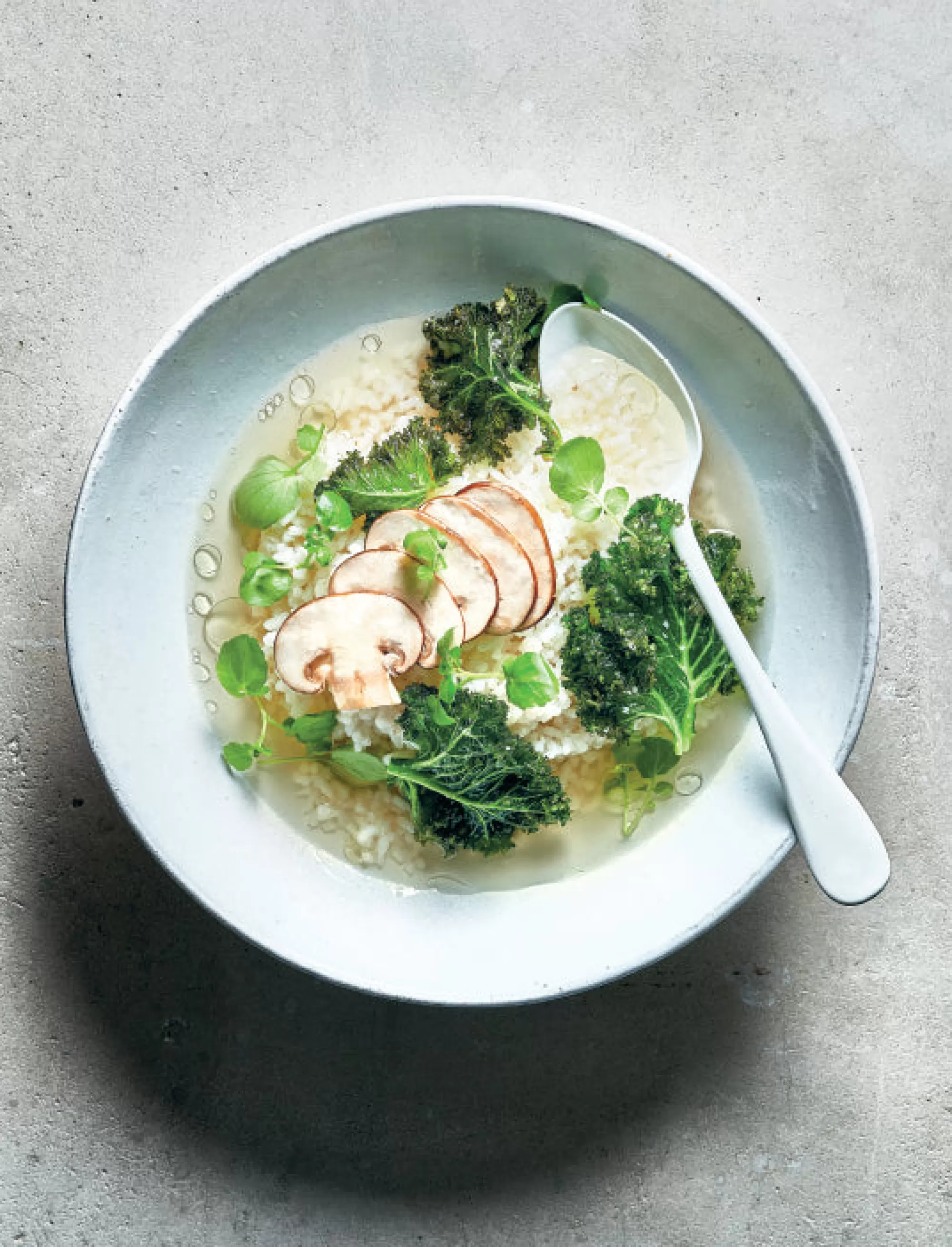 Flash Sale Be Home Mushrooms: Over 70 Recipes Which Celebrate Mushrooms by Martin Nordin